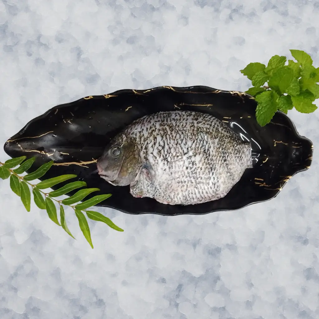 Tilapia / ತಿಲಾಪಿಯಾ