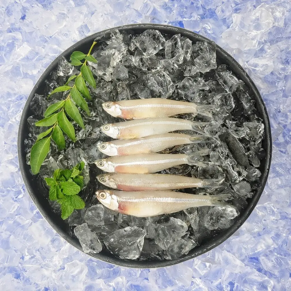 Anchovy /Nathalie Fish / ಬೊಲಿಂಗೆ