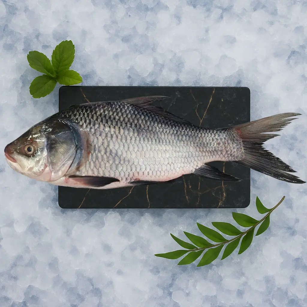 Whole Fish (Uncleaned)