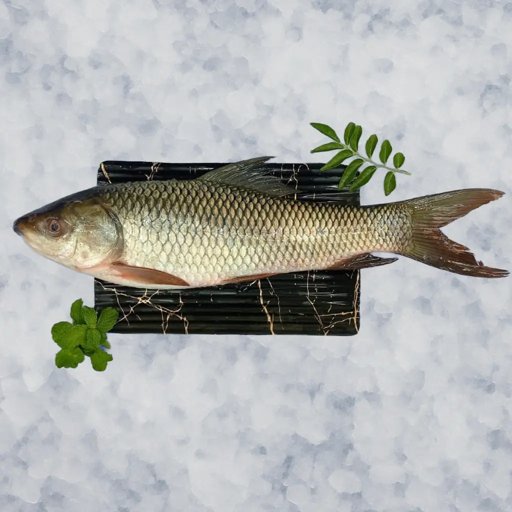 Whole Fish (Uncleaned)