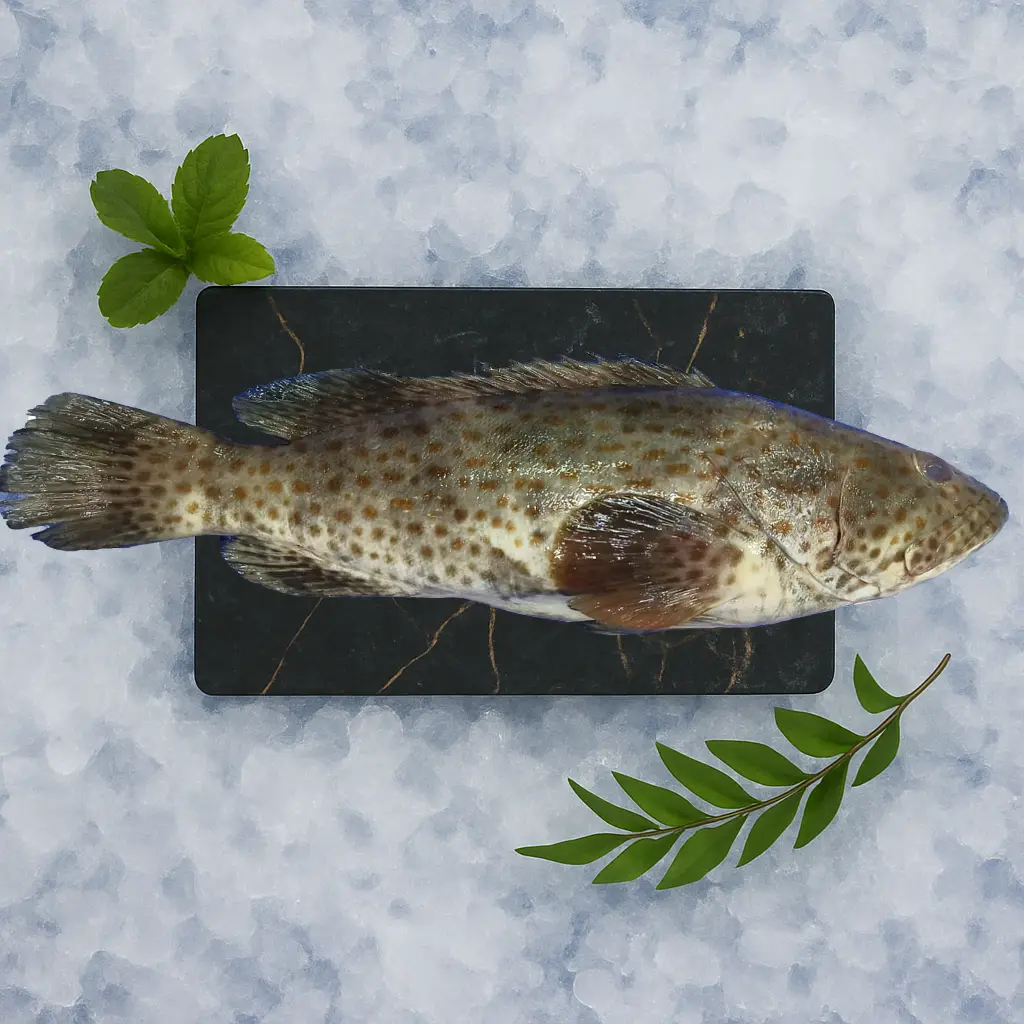 Whole Fish (Uncleaned)