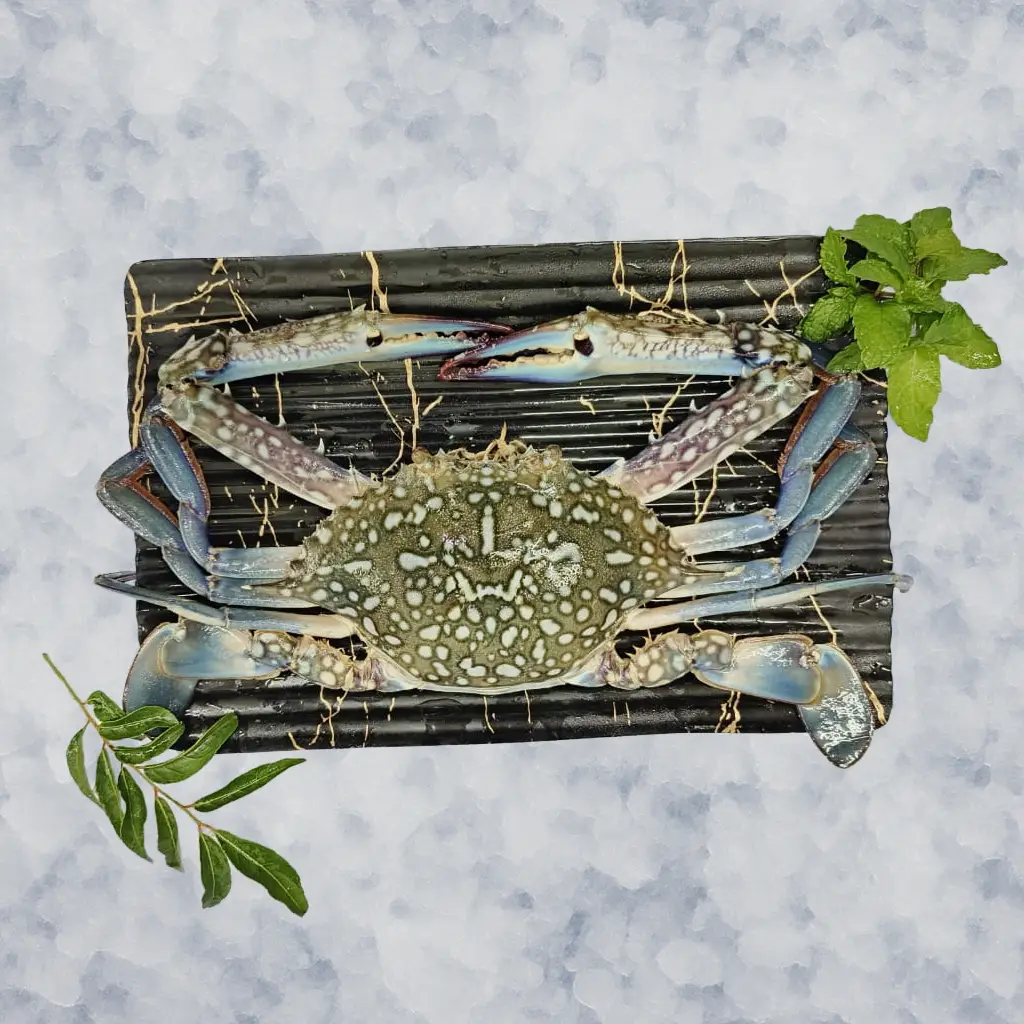 Blue Crab / ಏಡಿ