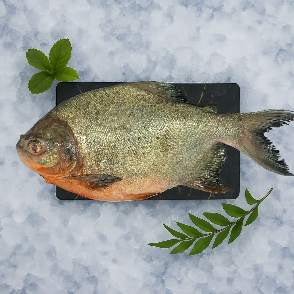 Whole Fish (Uncleaned)