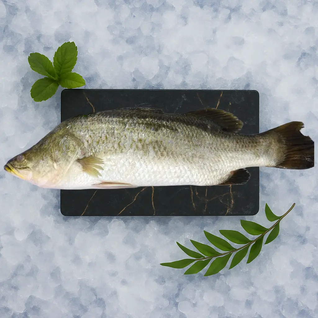 Whole Fish (Uncleaned)