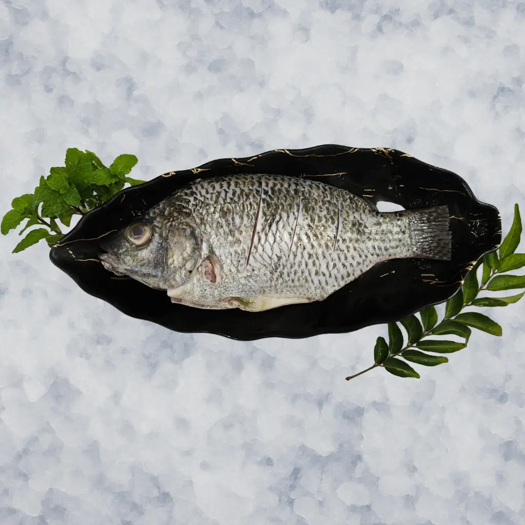 Tilapia / ತಿಲಾಪಿಯಾ