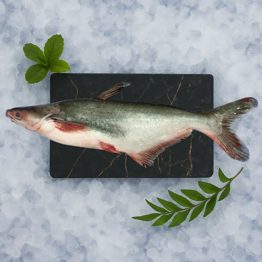 Whole Fish (Uncleaned)