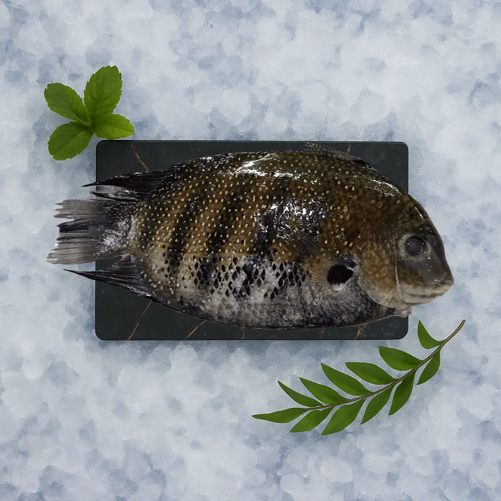 Whole Fish (Uncleaned)