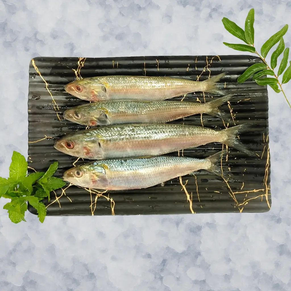 Whole Fish (Uncleaned)